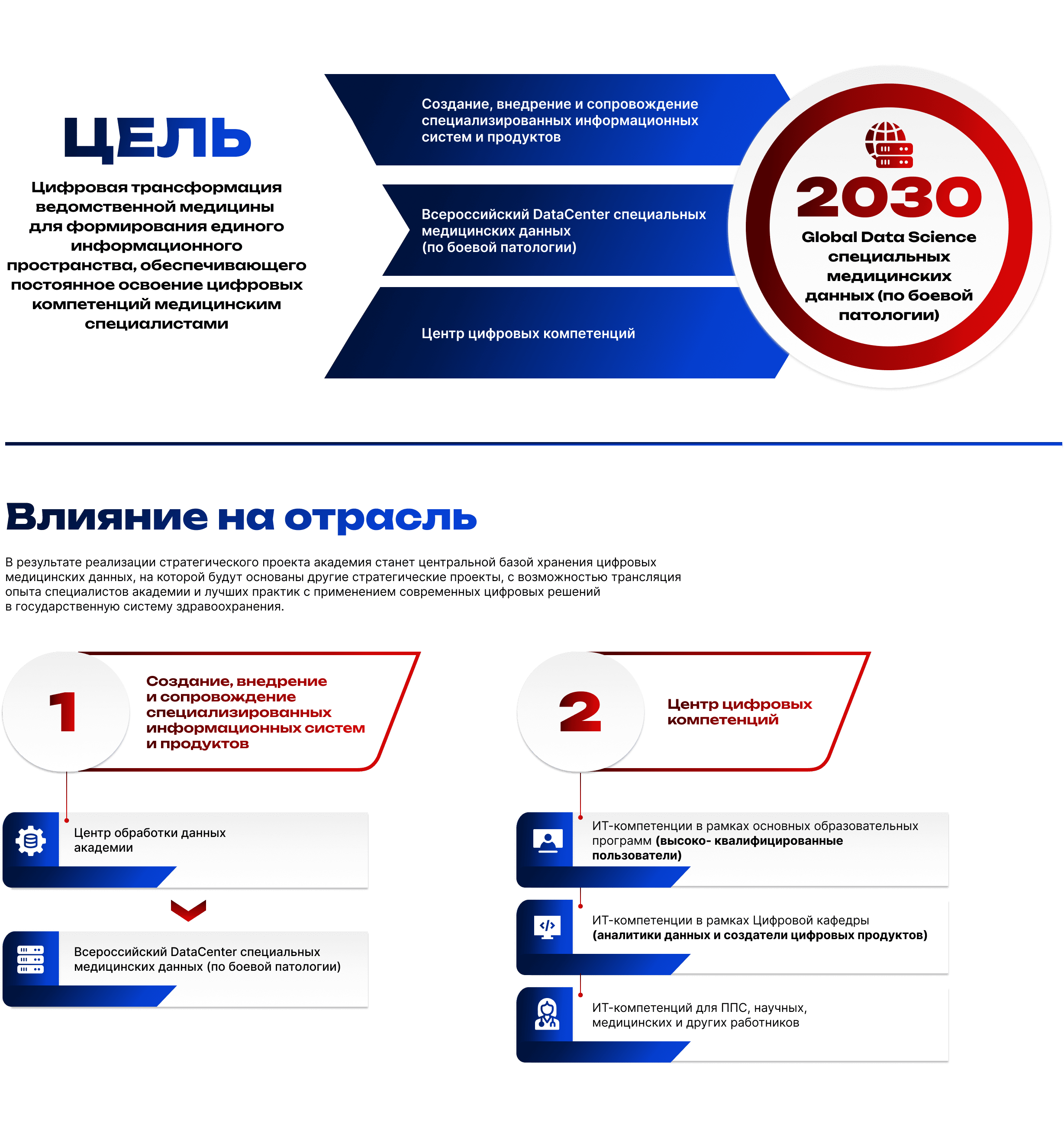 project1_infographic