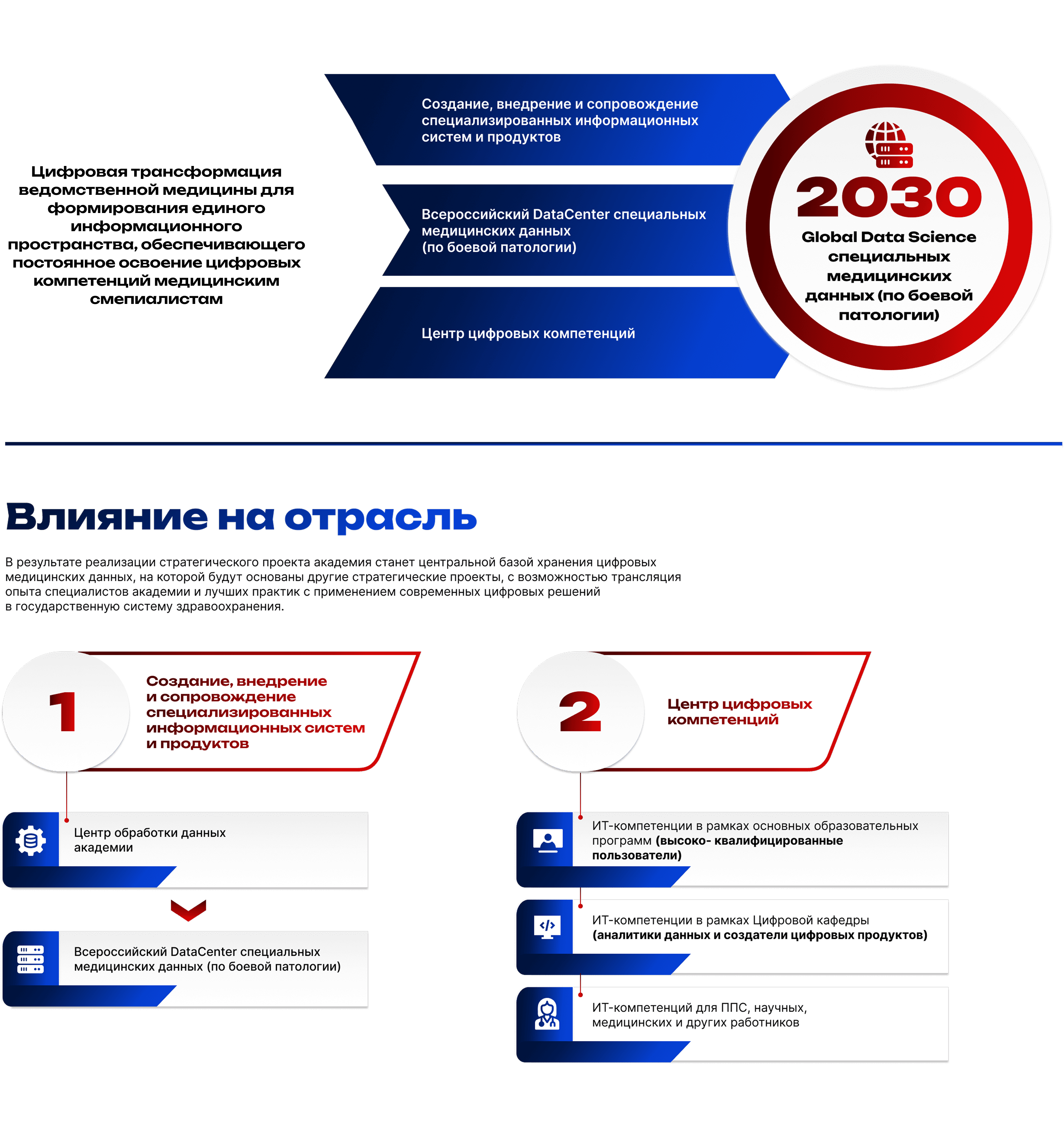 project1_infographic